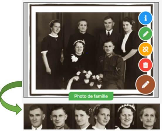 Turn family pictures into a family tree